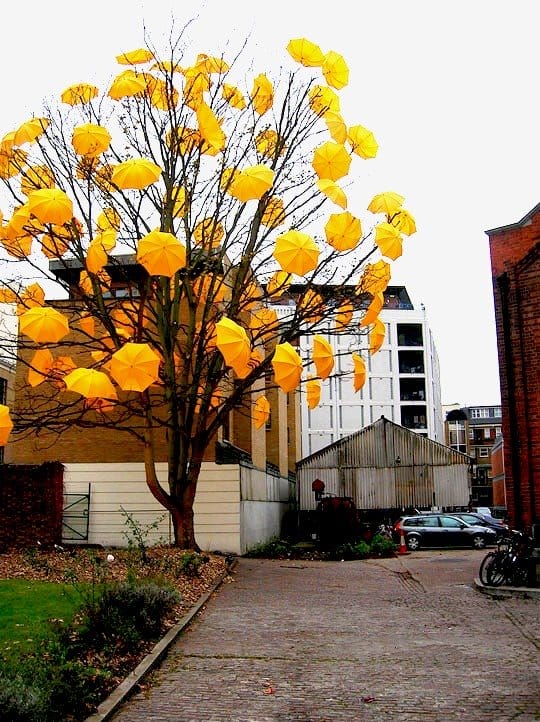 Pohon payung ini merupakan karya Sam Spencer.