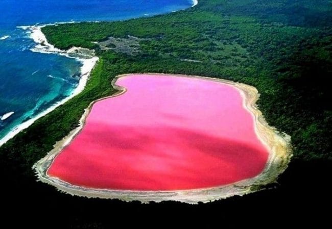 Danau Hiller juga dikenal dengan nama danau Pink. Danau ini berada di tepi Kepulauan Recherche, Australia. Sebelumnya, danau Pink jarang tersentuh oleh manusia. Ketika operasi pengekstrakan garam yang dilakukan di area ini beberapa tahun lalu, danau ini menjadi sering diperbincangkan. Warna merah mudanya tidak hanya mengagumkan, tetapi juga menjadi misteri alam bagi saintis. Sejauh ini, belum ada penjelasan tentang warna merah muda danau ini. Beberapa teori menyebutkan warna tersebut berasal dari organisme yang hidup di danau, Dunaliella salina dan Halobacteria. Pendapat lain menyatakan merah muda disebabkan adanya bakteri halofilik merah di kerak garam. Uniknya, warna merah muda ini bukanlah suatu ilusi. Ketika air dikumpulkan di sebuah wadah, warna merah muda tidak hilang.