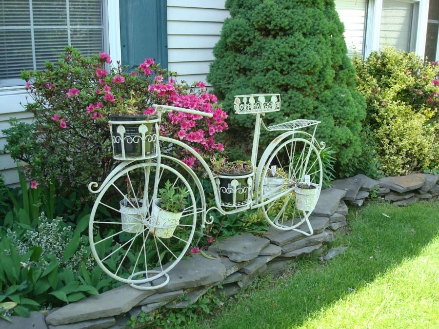 Jika di rumahmu ada sepeda yang sudah tidak dipakai lagi, gunakan saja sebagai pot bunga.