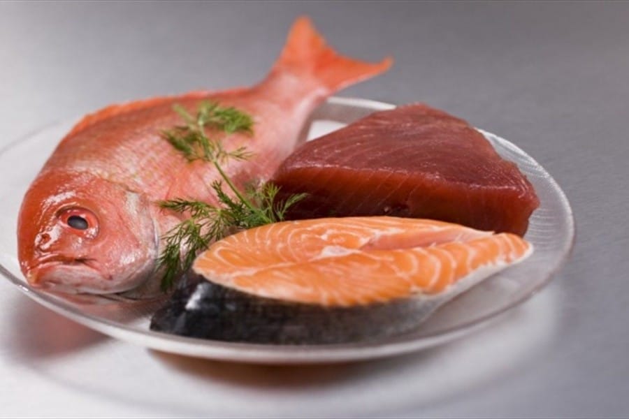 Ikan yang mengandung banyak protein dapat meningkatkan metabolisme tubuh