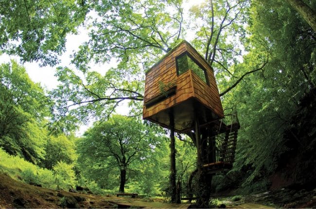 Rumah Pohon yang dibuat oleh Kashi Kobayashi, Japan