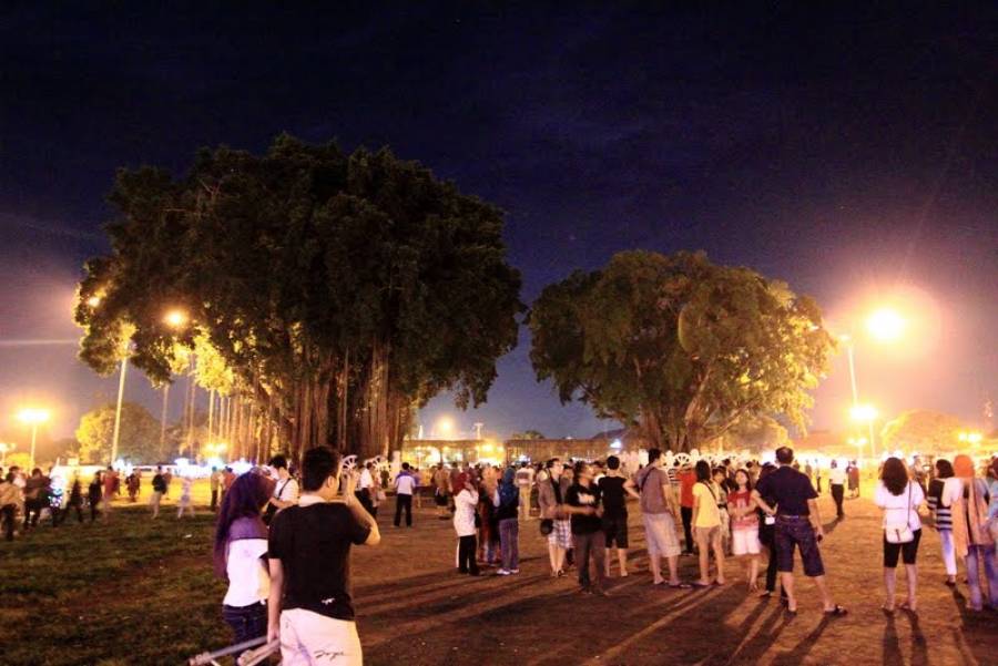 Beringin Alun-Alun Kidul di Jl. Alun-Alun Kidul Yogyakarta, Indonesia