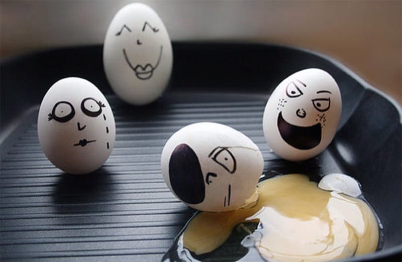senang dan sedih di atas penderitaan telur yang lain