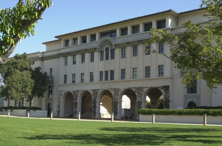 Universitas Calofornia