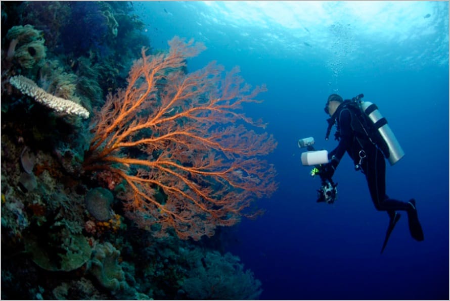 Diving di Raja Ampat