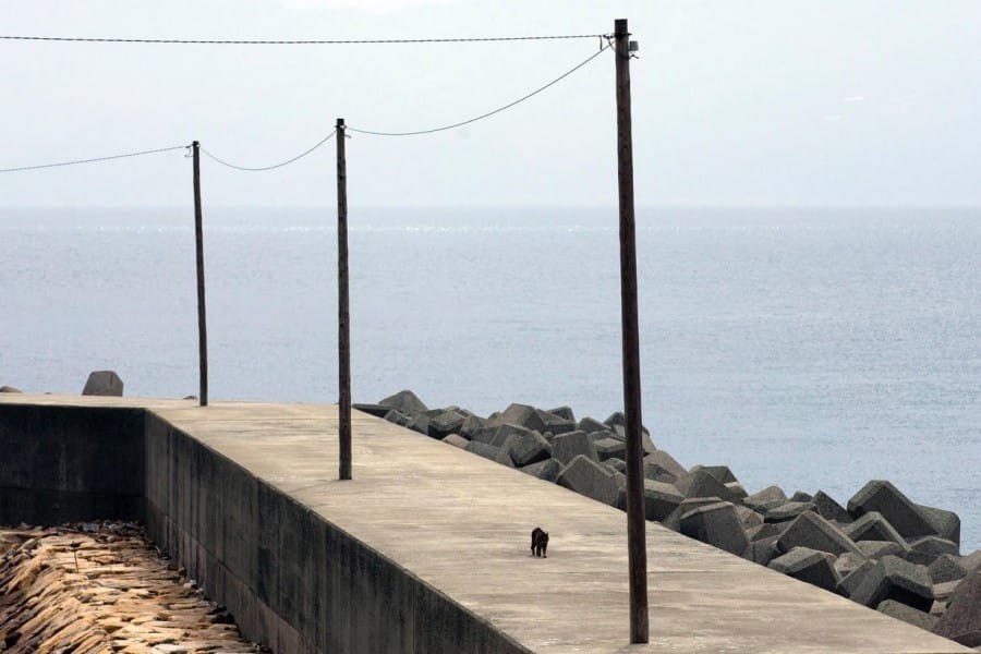 Foto Pantai Pulau Aoshima