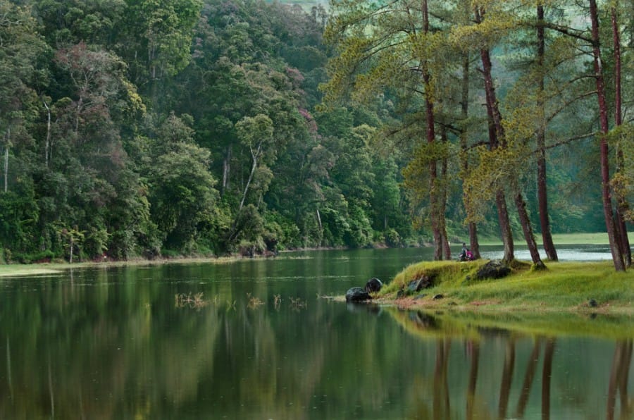 Wisata Alam, Situ Patenggang