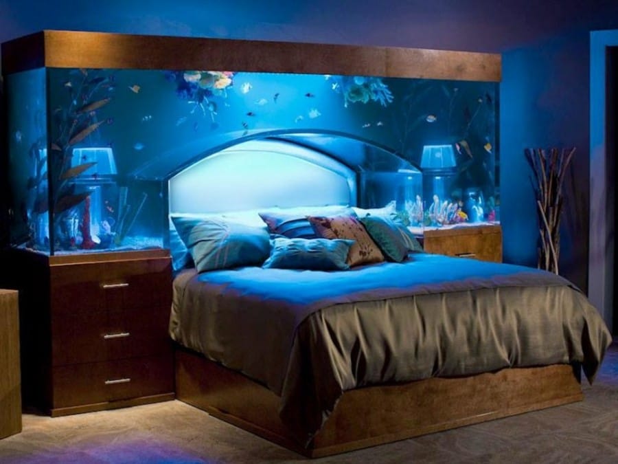 Tempat tidur dengan akuarium di dalamnya Tempat tidur dengan akuarium di dalamnya