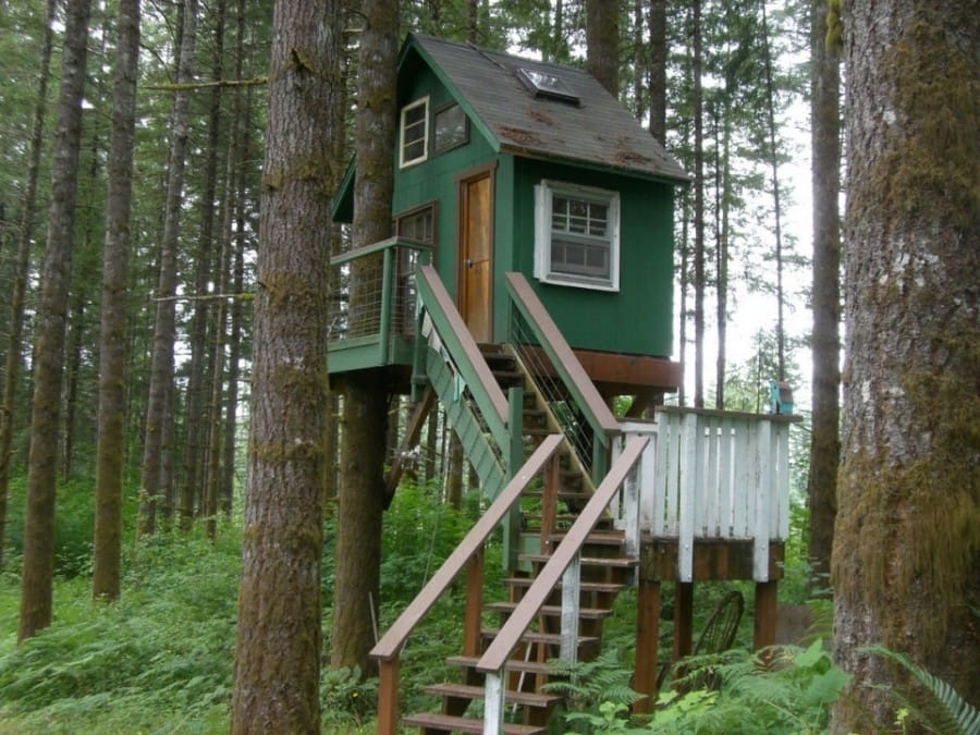 Rumah Pohon ini milik keluarga Swiss, Robinson