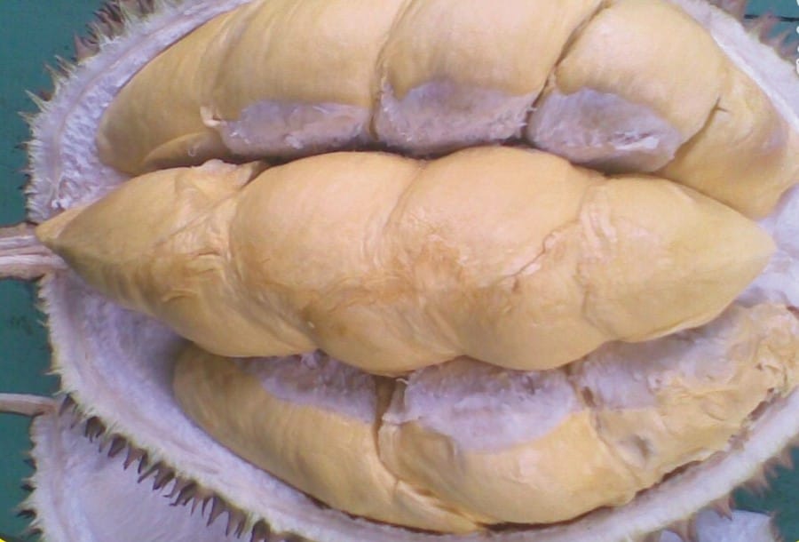 Durian Menoreh