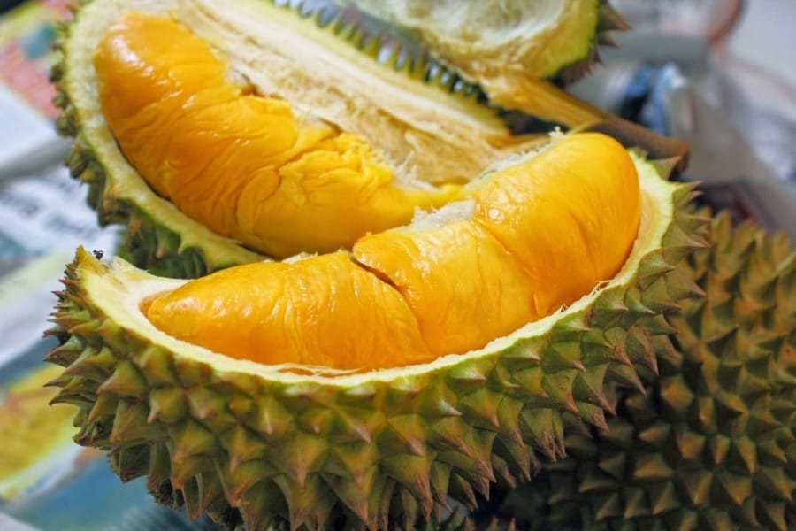 Durian Tembaga