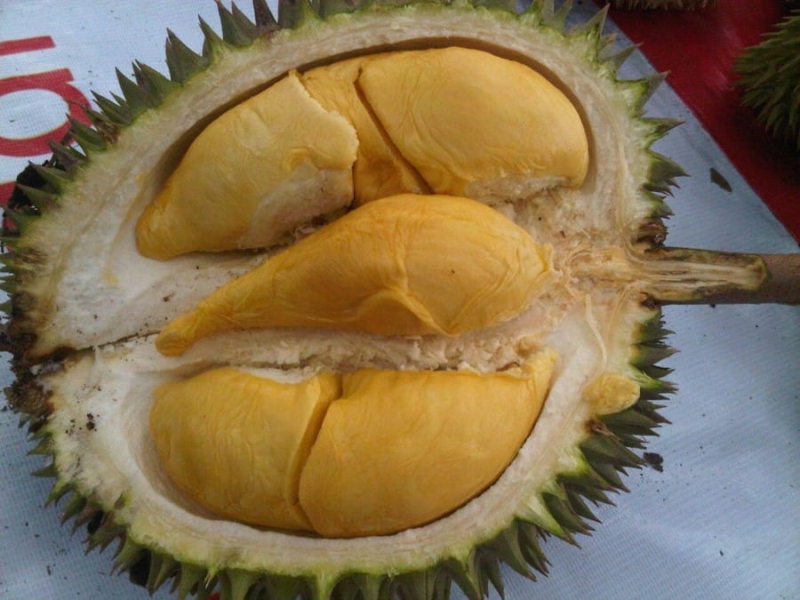 Durian Bawor