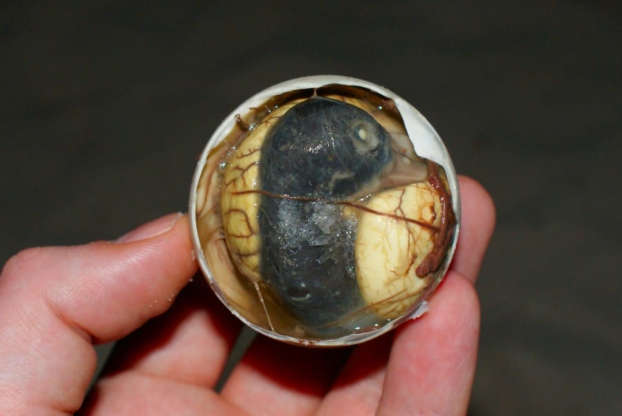 Balut