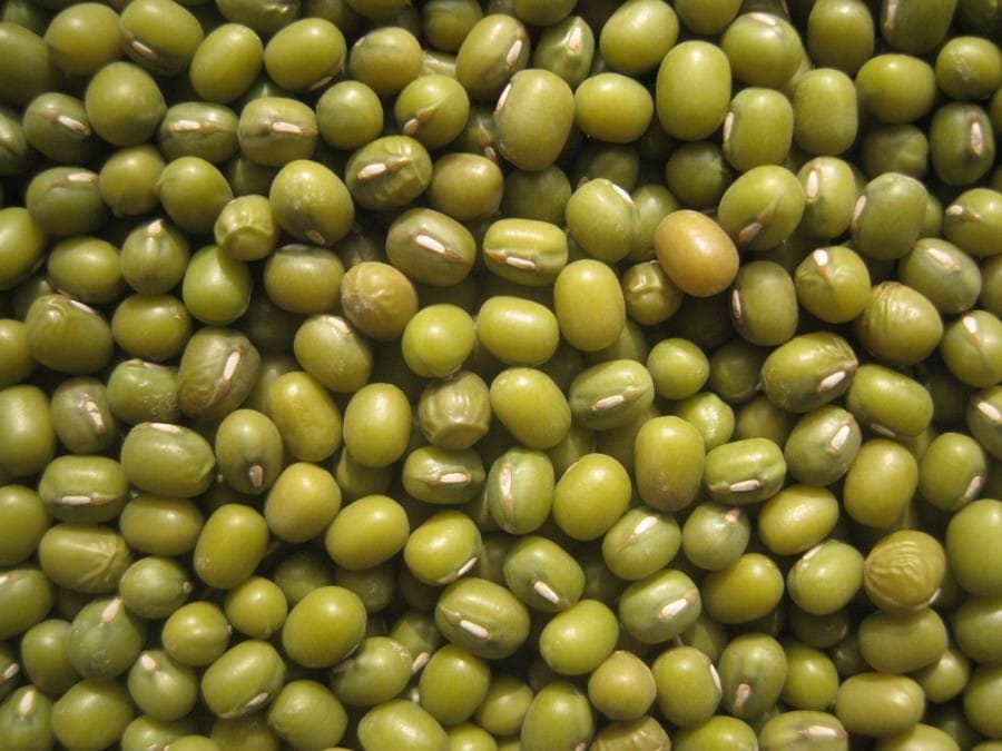 Kacang Hijau