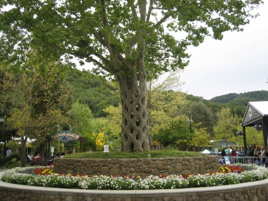 Basket Tree