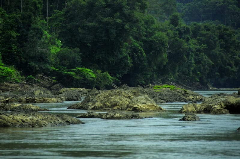 Taman Nasional Kayan Mentarang