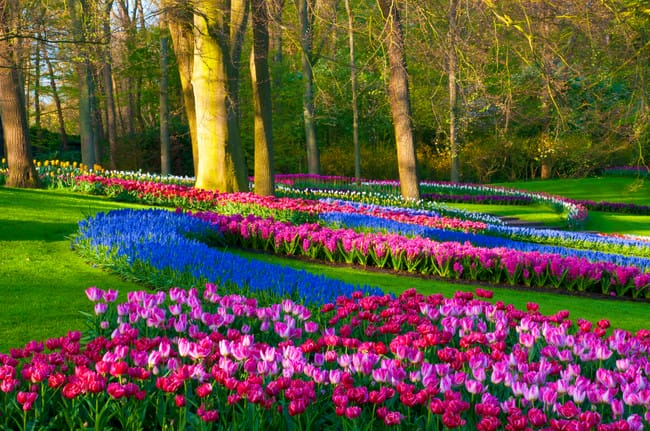 Musim Semi yang Indah, Keukenhof Gardens 