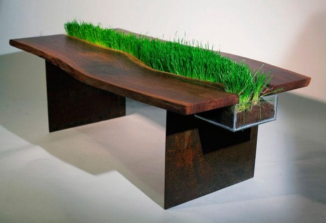 Meja Dengan Rumput
