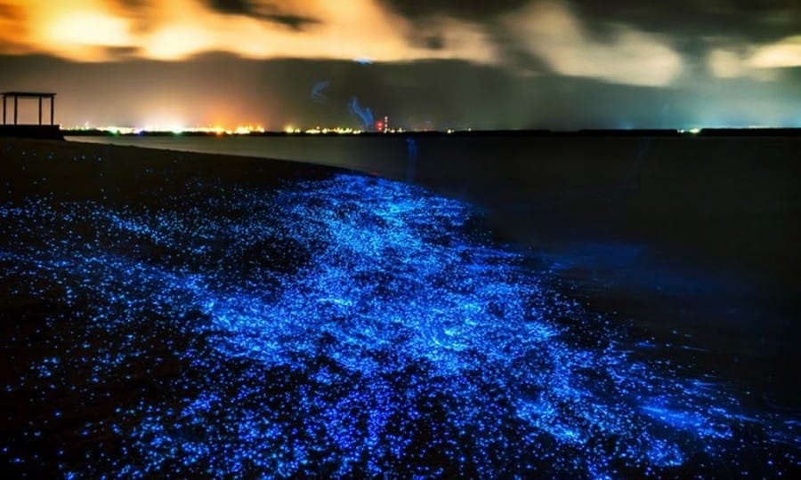 Beach in Mudhdhoo Island