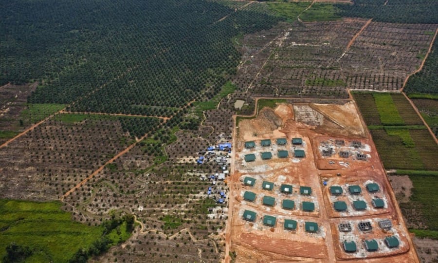 Kerusakan hutan