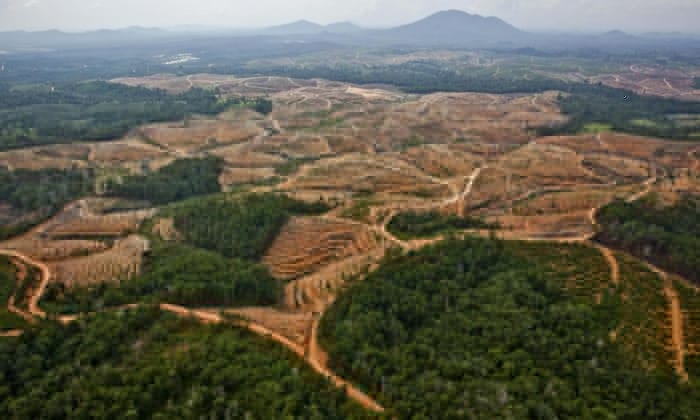 Kerusakan hutan