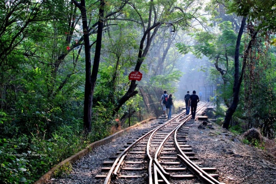 Rel kereta di SGNP, Mumbai, India