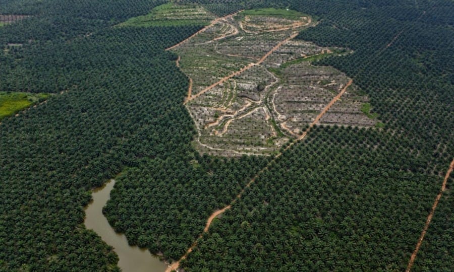 Kerusakan hutan