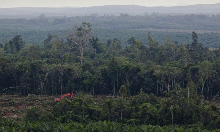 Kerusakan hutan 