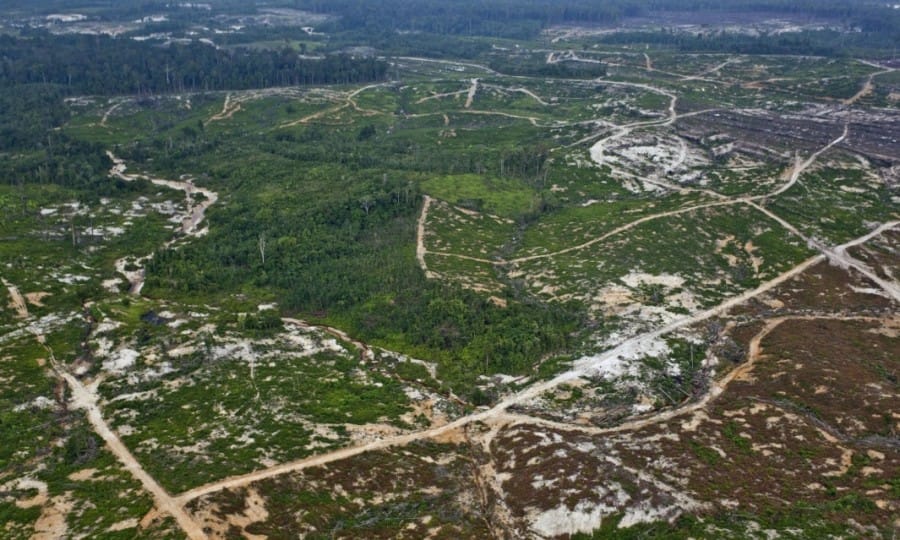 Kerusakan hutan