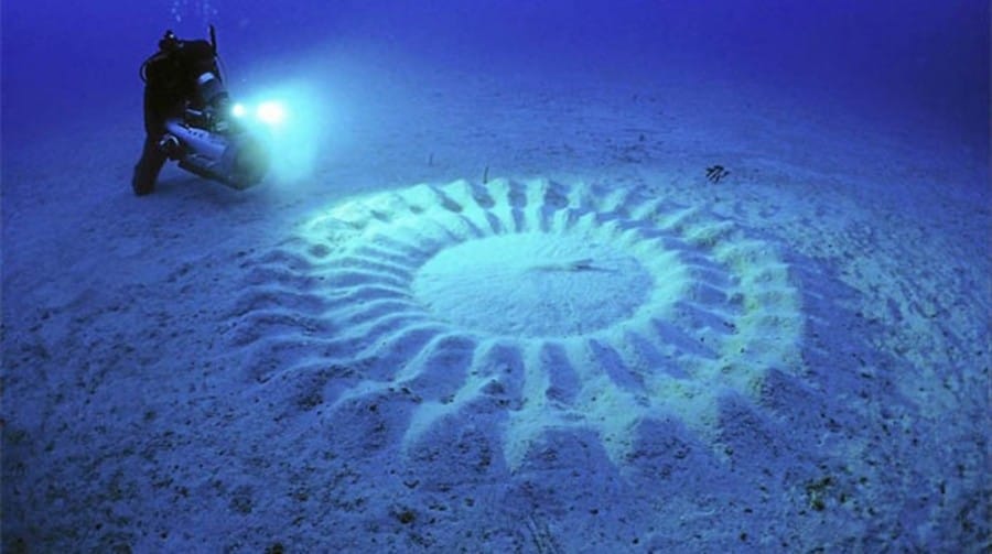 Crop circle di dalam air