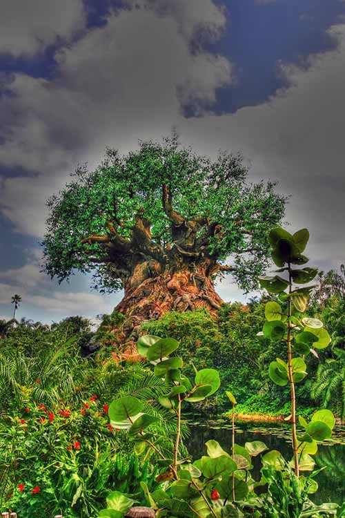 Tree of Life Hoax Tree of Life Hoax