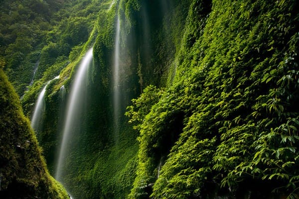 Horizon hijau di Air Terjun Madakaripura