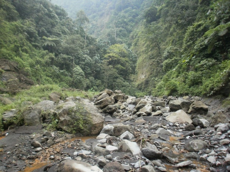 Jalan Berbatu Menuju Madakaripura