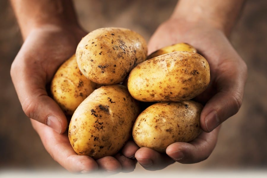 potatoes.com