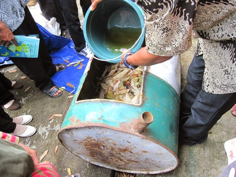 Budidaya Belut Pemberian Pakan - Budidaya Belut