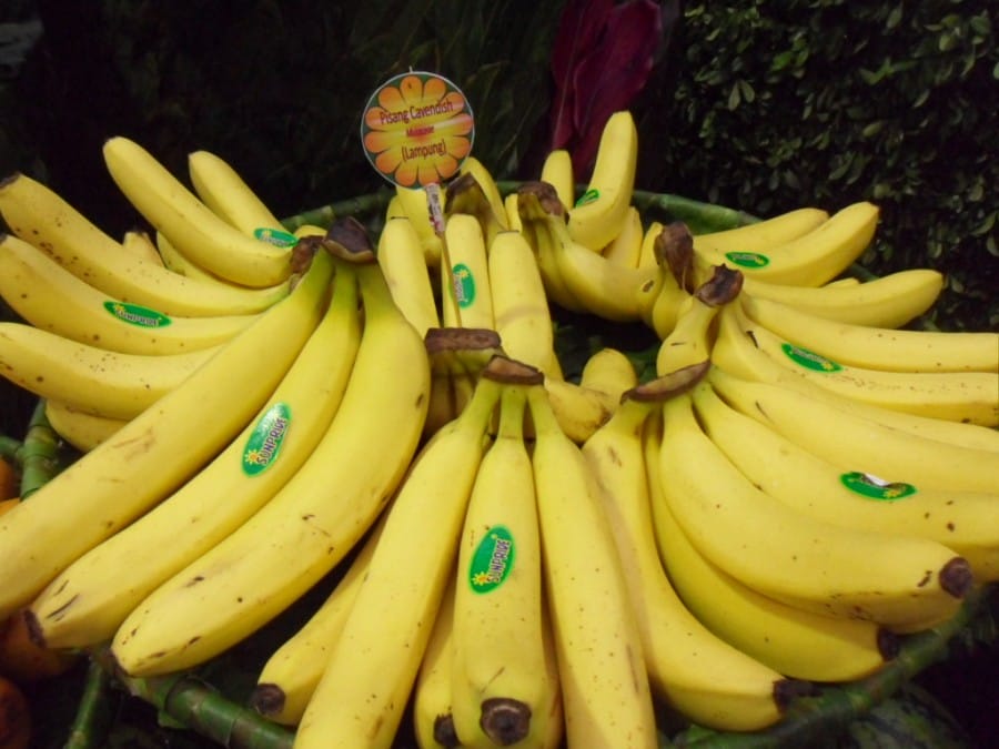 pisang mengandung 
