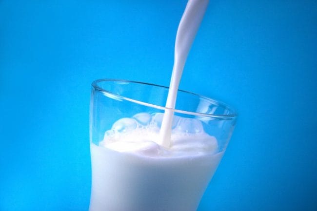 susu tanpa lemak baik bagi ibu hamil pasca melahirkan