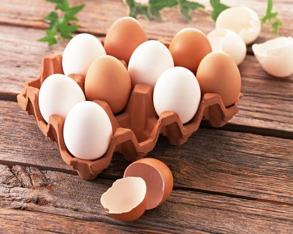 Telur Putih