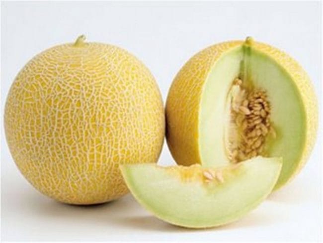 Makan Buah Melon Menghilangkan Karang Gigi
