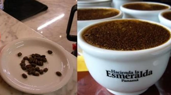 Kopi Hacienda La Esmeralda dari Boquete