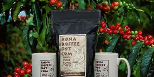 Kopi Hawaii Kona dari Hawaii