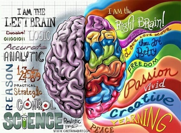 otak kiri otak kanan