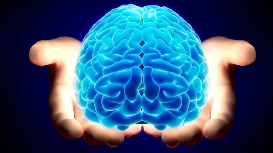 otak manusia dipelajari dalam psikologi
