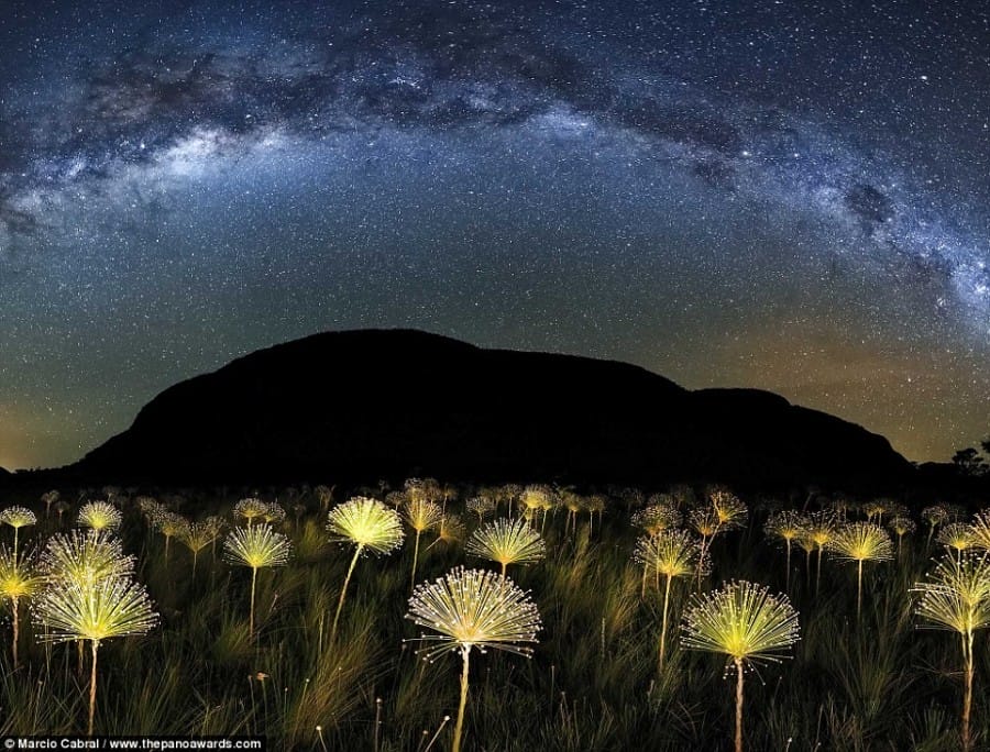 The arc of the Milky Way