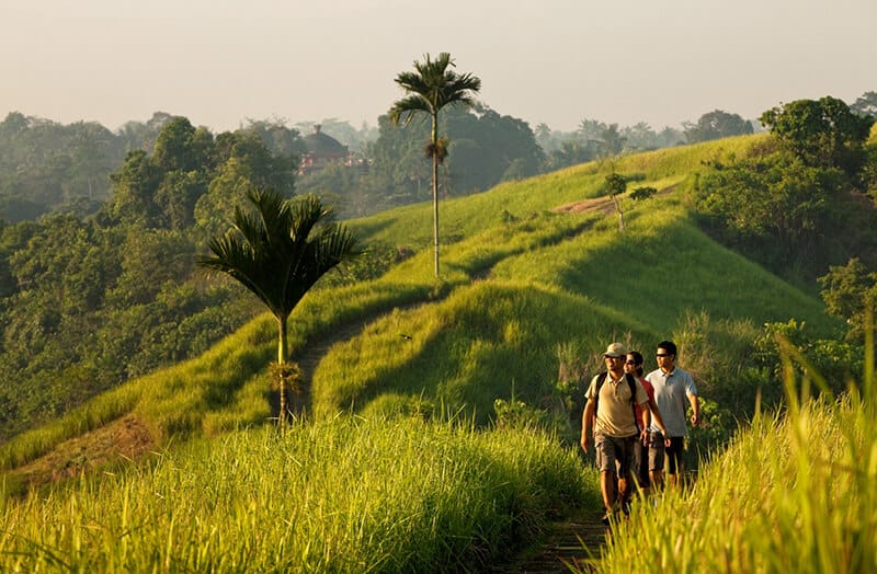 wisata alam ubud menawarkan banyak tempat yang harus kamu coba