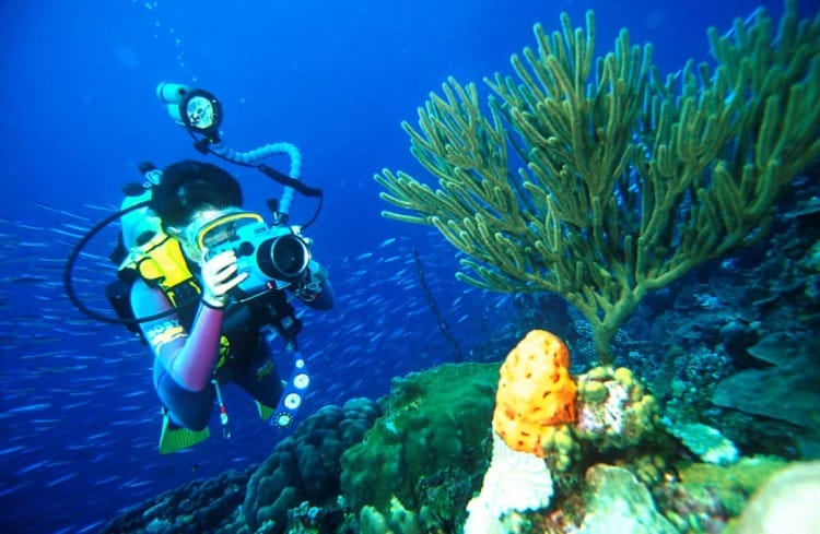 Keindahan Diving di Raja Ampat