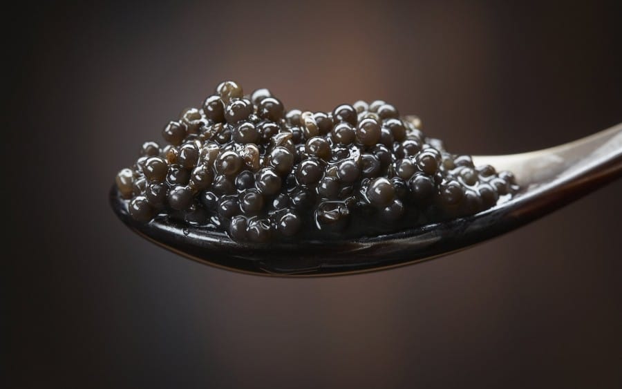 Beluga caviar