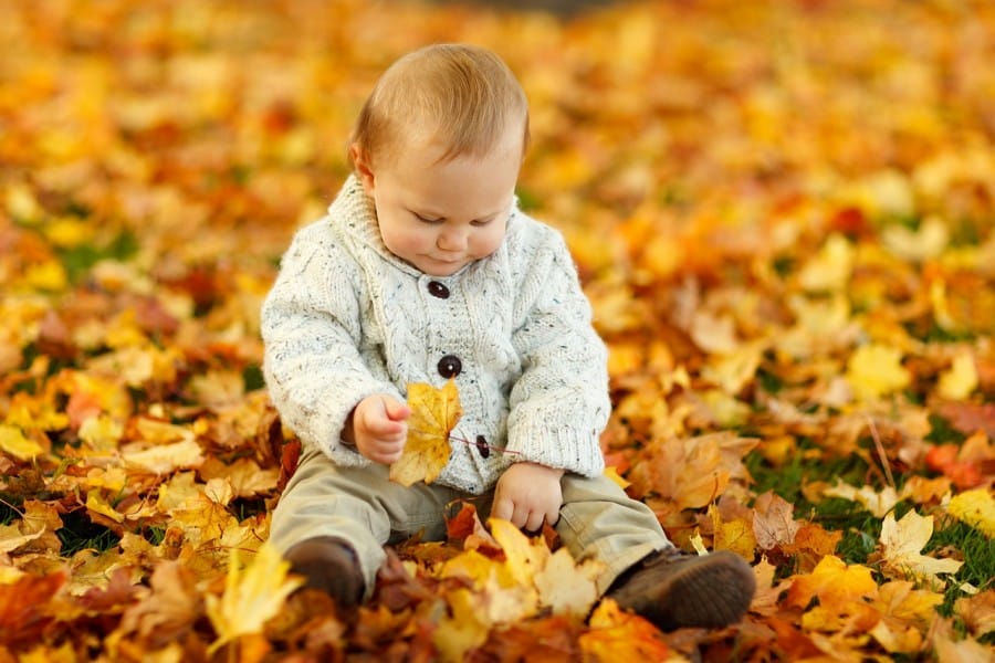 Gambar Lucu - Anak sedang beramain daun yang berguguran