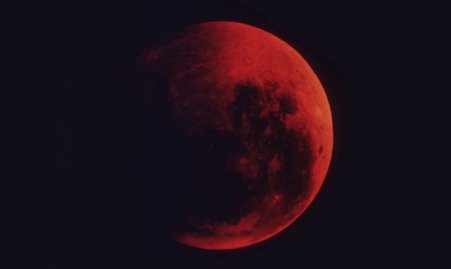 BloodMoon