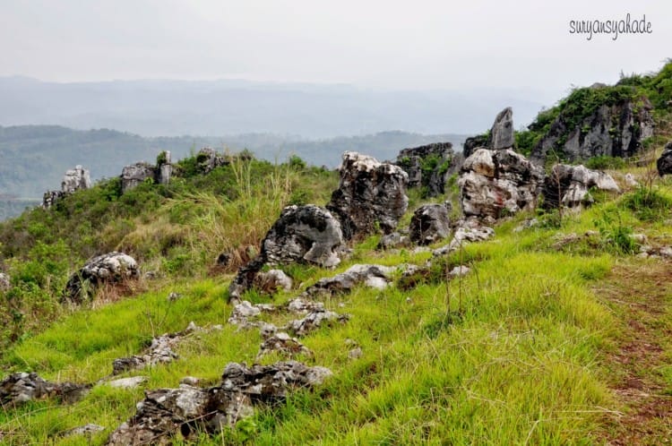 Stone Garden